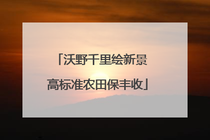沃野千里绘新景 高标准农田保丰收