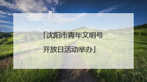 沈阳市青年文明号开放日活动举办