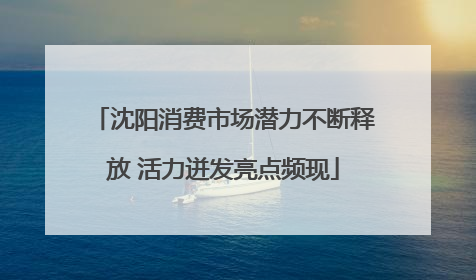 沈阳消费市场潜力不断释放 活力迸发亮点频现