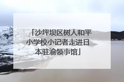 沙坪坝区树人和平小学校小记者走进日本驻渝领事馆