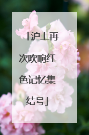 沪上再次吹响红色记忆集结号