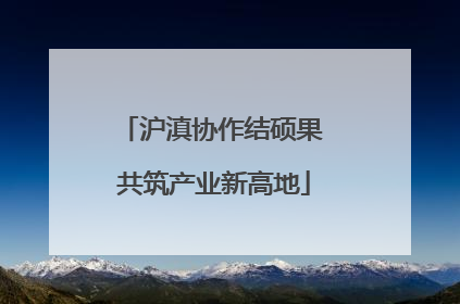 沪滇协作结硕果 共筑产业新高地