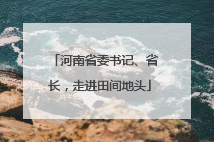 河南省委书记、省长，走进田间地头