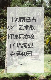 河南省青少年武术散打锦标赛收官 塔沟强势摘40冠
