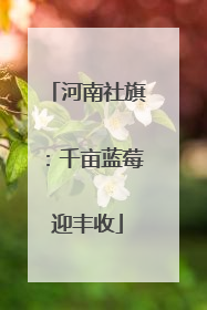河南社旗：千亩蓝莓迎丰收