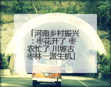 河南乡村振兴：枣花开了 枣农忙了 川塬古枣林一派生机