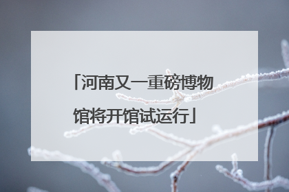 河南又一重磅博物馆将开馆试运行