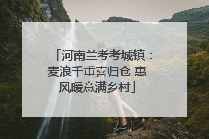 河南兰考考城镇：麦浪千重喜归仓 惠风暖意满乡村