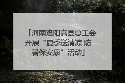 河南洛阳嵩县总工会开展“夏季送清凉 防暑保安康”活动