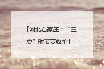 河北石家庄：“三夏”时节麦收忙