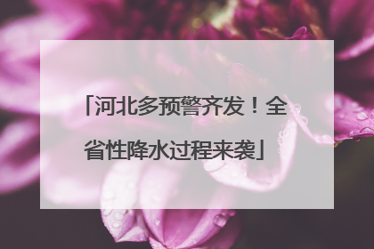 河北多预警齐发！全省性降水过程来袭