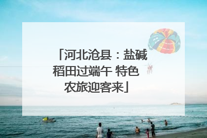 河北沧县：盐碱稻田过端午 特色农旅迎客来