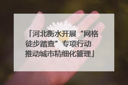 河北衡水开展“网格徒步踏查”专项行动 推动城市精细化管理