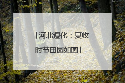 河北遵化：夏收时节田园如画