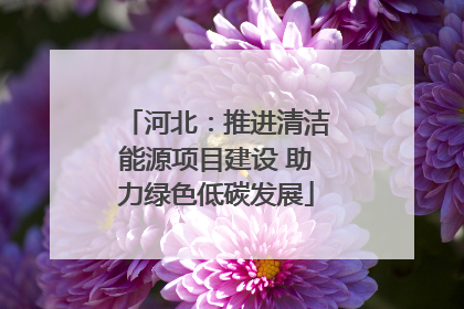 河北：推进清洁能源项目建设 助力绿色低碳发展