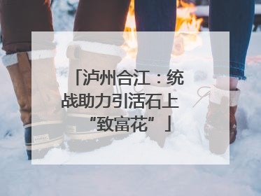 泸州合江：统战助力引活石上“致富花”