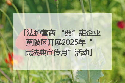 法护营商 “典”惠企业 黄陂区开展2025年“民法典宣传月”活动