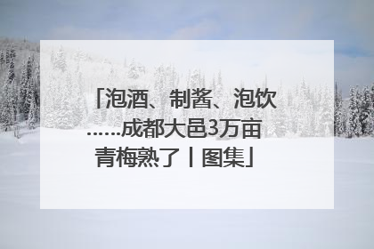 泡酒、制酱、泡饮……成都大邑3万亩青梅熟了丨图集