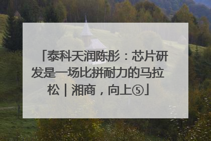 泰科天润陈彤：芯片研发是一场比拼耐力的马拉松｜湘商，向上⑤