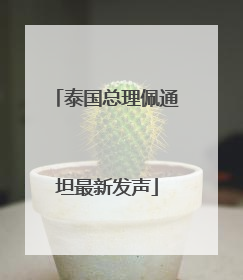 泰国总理佩通坦最新发声