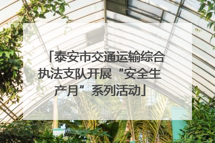 泰安市交通运输综合执法支队开展“安全生产月”系列活动