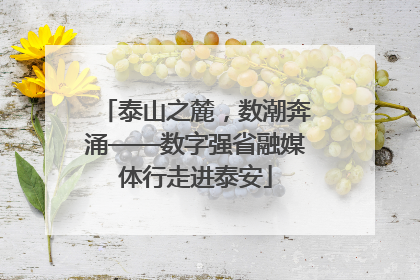 泰山之麓，数潮奔涌——数字强省融媒体行走进泰安