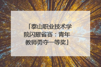 泰山职业技术学院闪耀省赛：青年教师勇夺一等奖