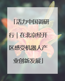活力中国调研行｜在北京经开区感受机器人产业创新发展
