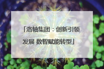 洛轴集团：创新引领发展 数智赋能转型