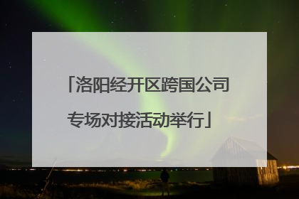 洛阳经开区跨国公司专场对接活动举行