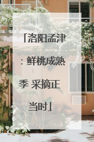 洛阳孟津：鲜桃成熟季 采摘正当时