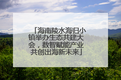 海南陵水海归小镇举办生态共建大会，数智赋能产业共创出海新未来
