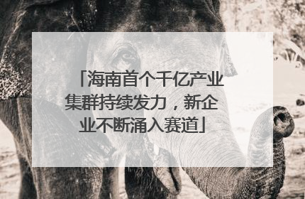 海南首个千亿产业集群持续发力，新企业不断涌入赛道