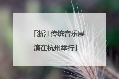 浙江传统音乐展演在杭州举行