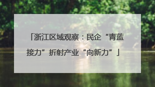 浙江区域观察：民企“青蓝接力”折射产业“向新力”