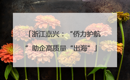 浙江嘉兴：“侨力护航”助企高质量“出海”