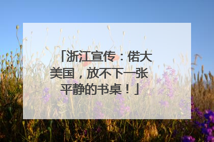 浙江宣传：偌大美国，放不下一张平静的书桌！