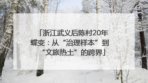 浙江武义后陈村20年蝶变：从“治理样本”到“文旅热土”的跨界