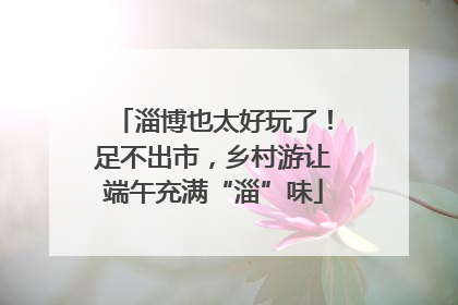淄博也太好玩了！足不出市，乡村游让端午充满“淄”味