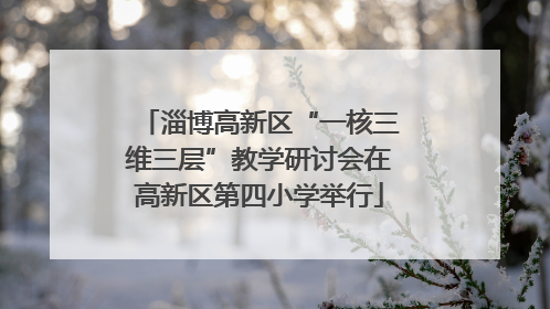 淄博高新区“一核三维三层”教学研讨会在高新区第四小学举行