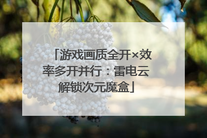游戏画质全开×效率多开并行：雷电云解锁次元魔盒