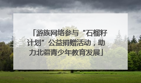 游族网络参与“石榴籽计划”公益捐赠活动，助力北疆青少年教育发展