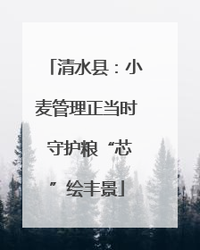 清水县：小麦管理正当时 守护粮“芯”绘丰景