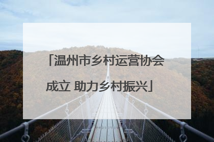 温州市乡村运营协会成立 助力乡村振兴