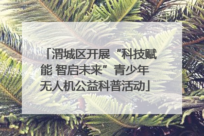 渭城区开展“科技赋能 智启未来”青少年无人机公益科普活动