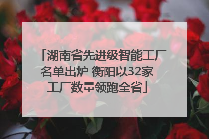 湖南省先进级智能工厂名单出炉 衡阳以32家工厂数量领跑全省