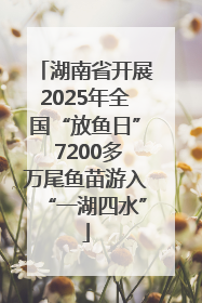 湖南省开展2025年全国“放鱼日” 7200多万尾鱼苗游入“一湖四水”