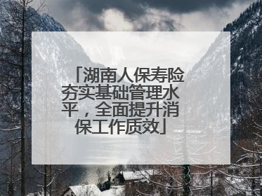 湖南人保寿险夯实基础管理水平，全面提升消保工作质效