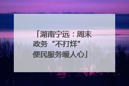 湖南宁远：周末政务“不打烊” 便民服务暖人心