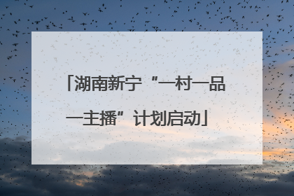 湖南新宁“一村一品一主播”计划启动